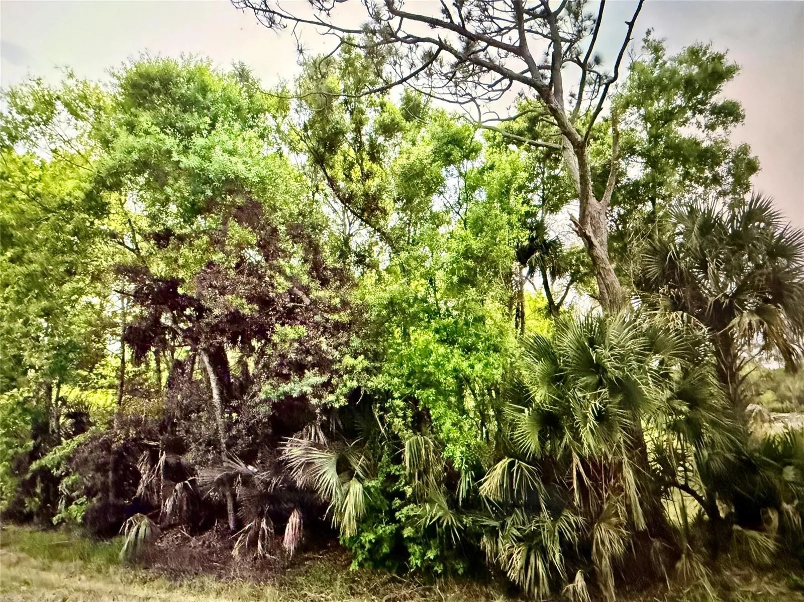 2551 NW 35th Drive, Okeechobee, FL 34972 — zdjęcie 2