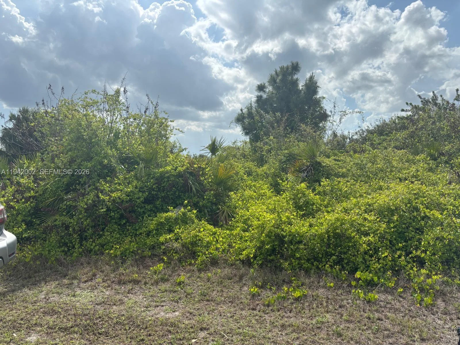 4621 N ANITA AVE, Lehigh Acres, FL 33971 photo 2