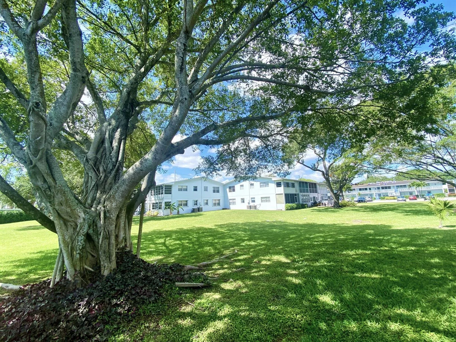 335 FARNHAM P, Deerfield Beach, FL 33442