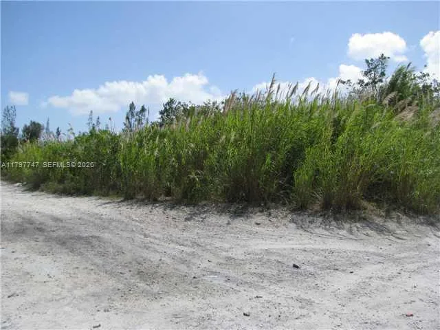 SW 137 Ave. at 360 St., Florida City FL 33035 photo 4