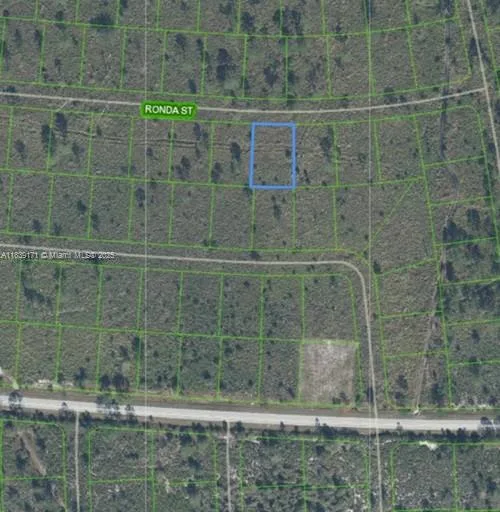 7811 RONDA ST, Sebring, FL 33872 photo 2