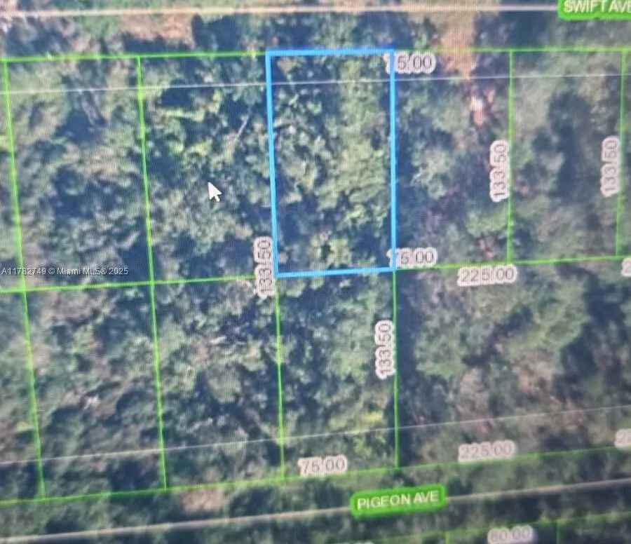 234 Swift Ave, Sebring, FL 33870