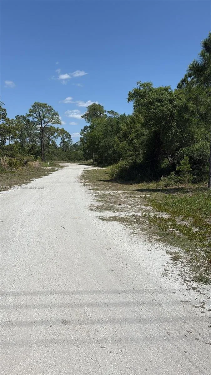 234 Swift Ave, Sebring, FL 33870 photo 2