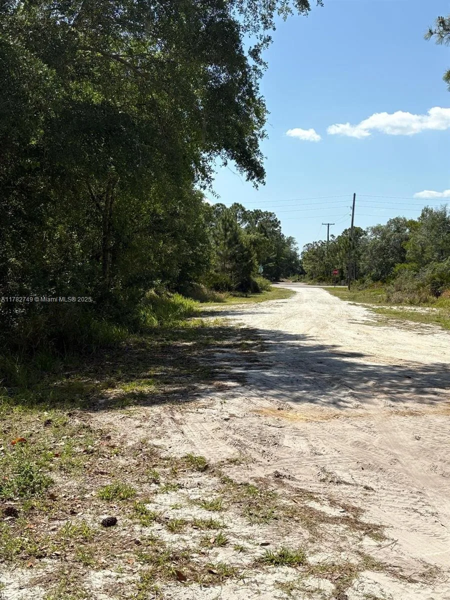 234 Swift Ave, Sebring, FL 33870 photo 3