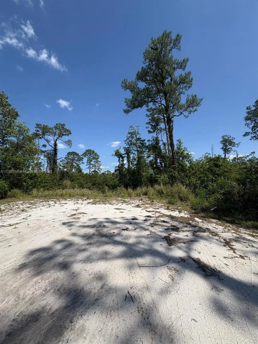 234 Swift Ave, Sebring, FL 33870 photo 4