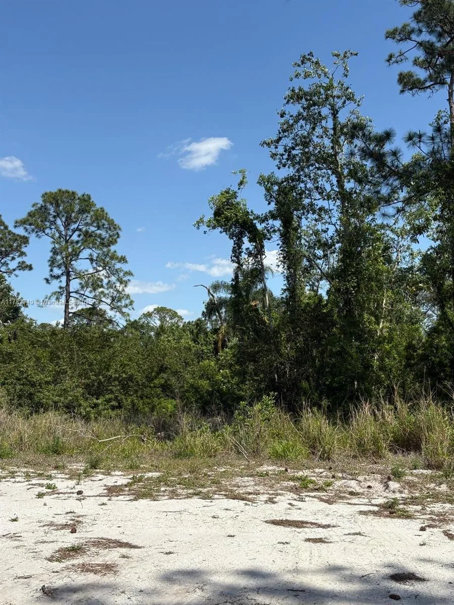 234 Swift Ave, Sebring, FL 33870 photo 5