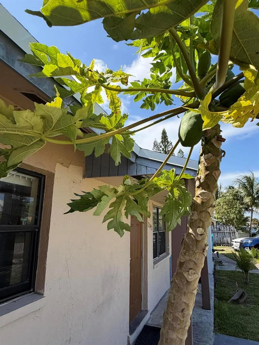 3243 Grove Road, Boynton Beach, FL 33435