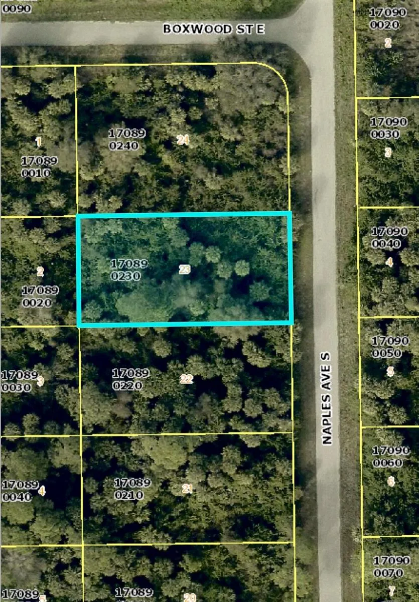 636 Naples Avenue S, Lehigh Acres, FL 33974
