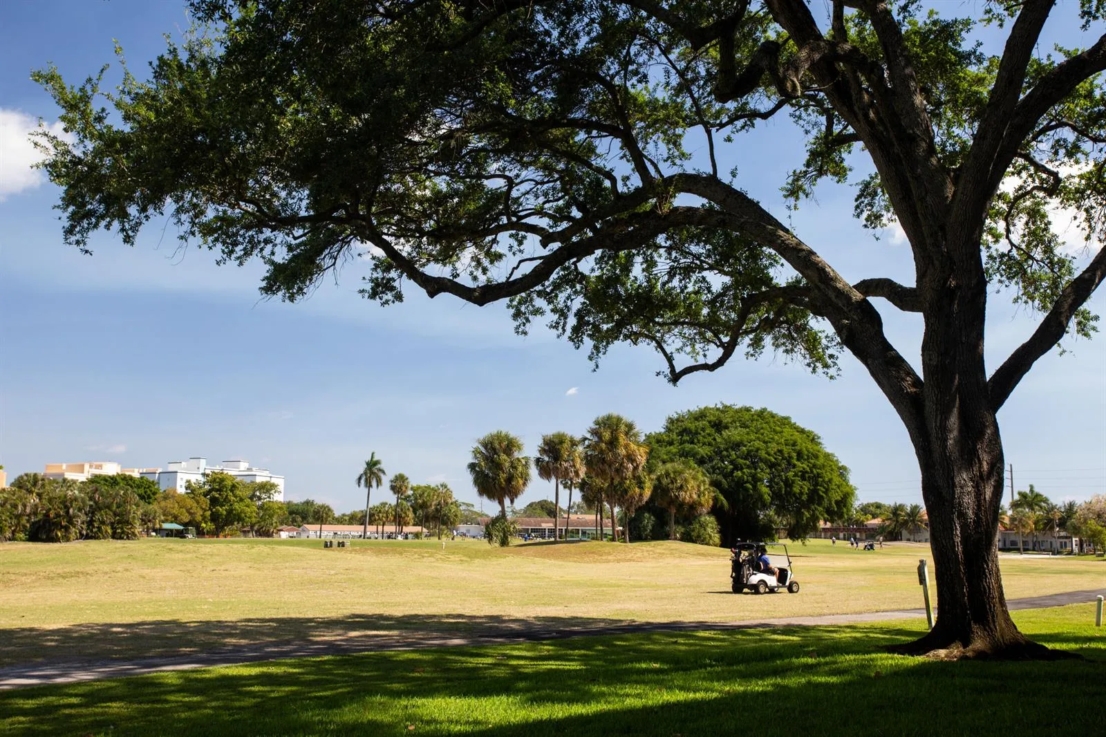 2651 S Course Drive # 109, Pompano Beach, FL 33069 photo 13