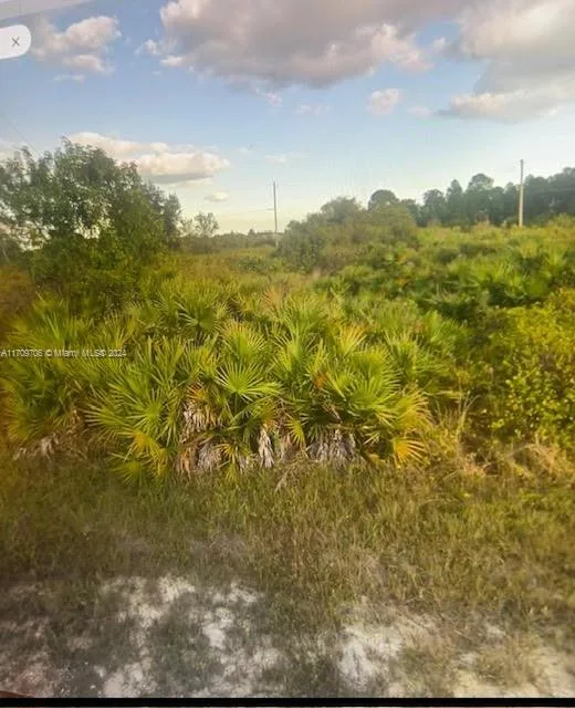 1402 Louis Ave, Lehigh Acres, FL 33972 photo 2