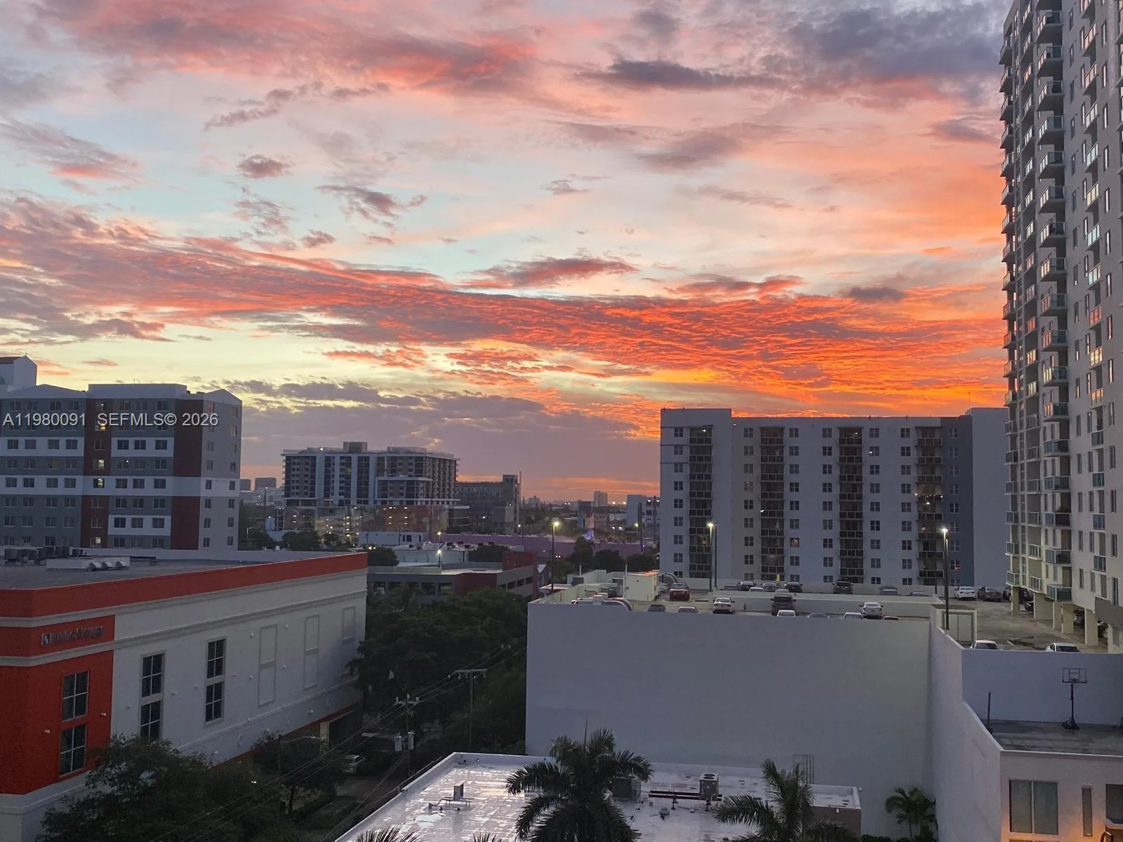 333 NE 24th St # 802, Miami, FL 33137 photo 8