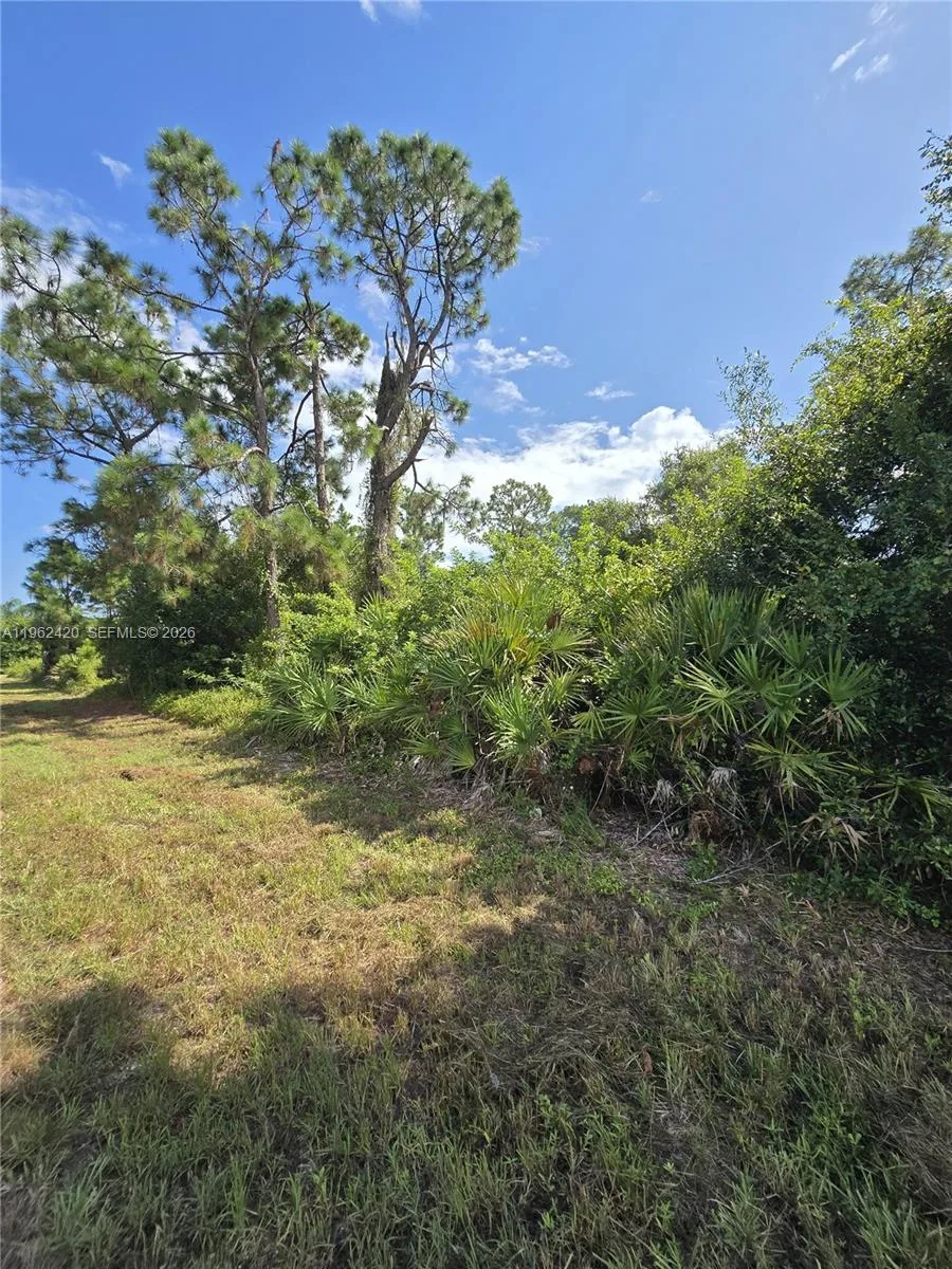 233 MALDEN AVE S, Lehigh Acres, FL 33974 photo 3