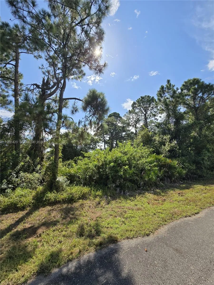 233 MALDEN AVE S, Lehigh Acres, FL 33974 photo 4
