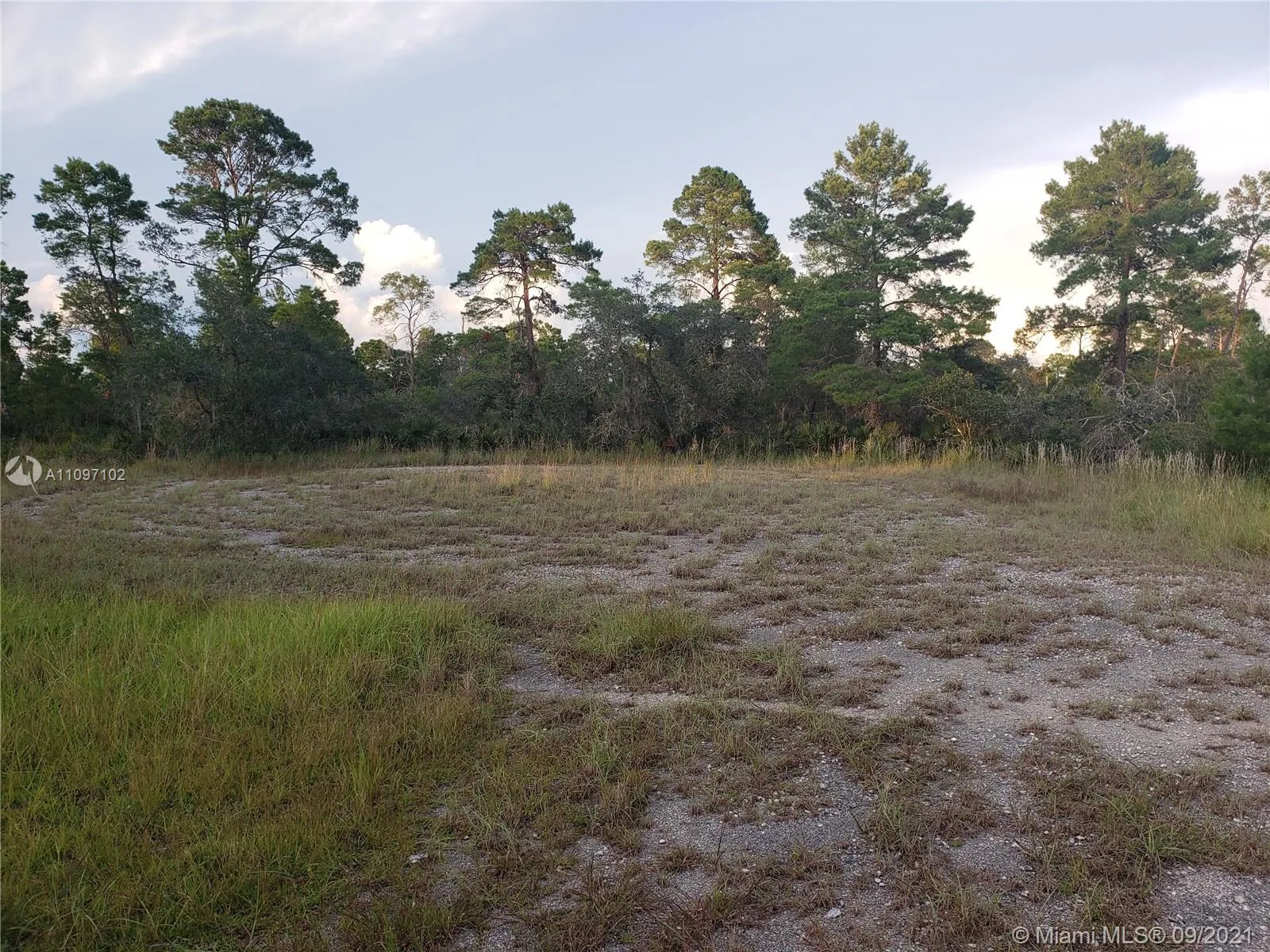 1251 Popinjay Avenue, Lake Placid, FL 33852