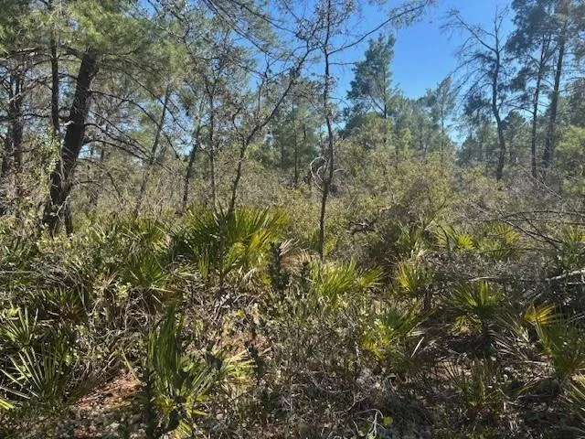 10681 Interlacher Drive, Sebring, FL 33852
