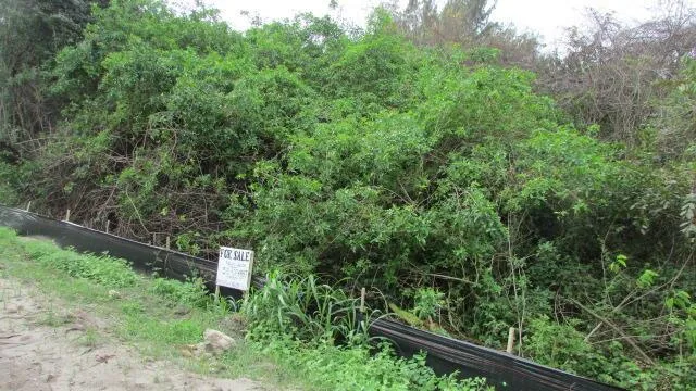 16750 SW Conners Highway, Okeechobee, FL 34974