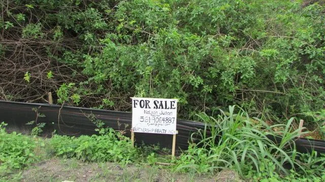 16750 SW Conners Highway, Okeechobee, FL 34974 photo 2