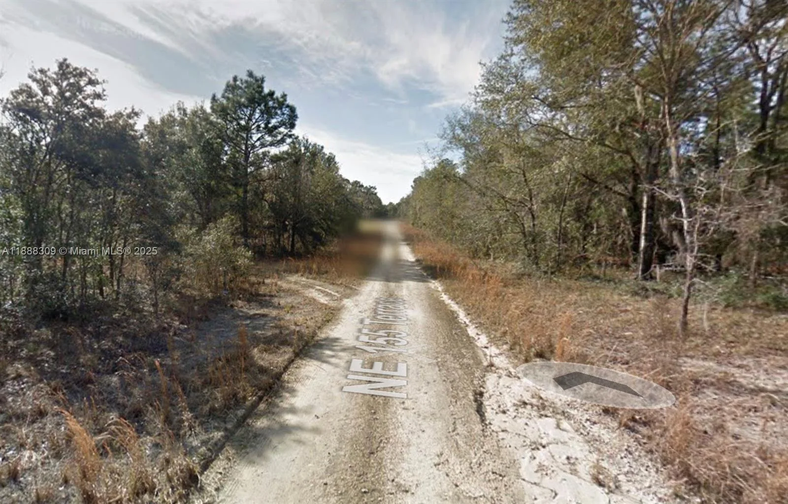 Lot 11 NE 155th Ter, Williston, FL 32696 photo 4