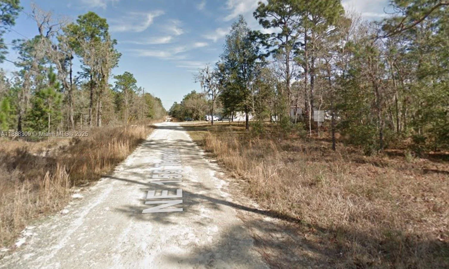 Lot 11 NE 155th Ter, Williston, FL 32696 photo 5