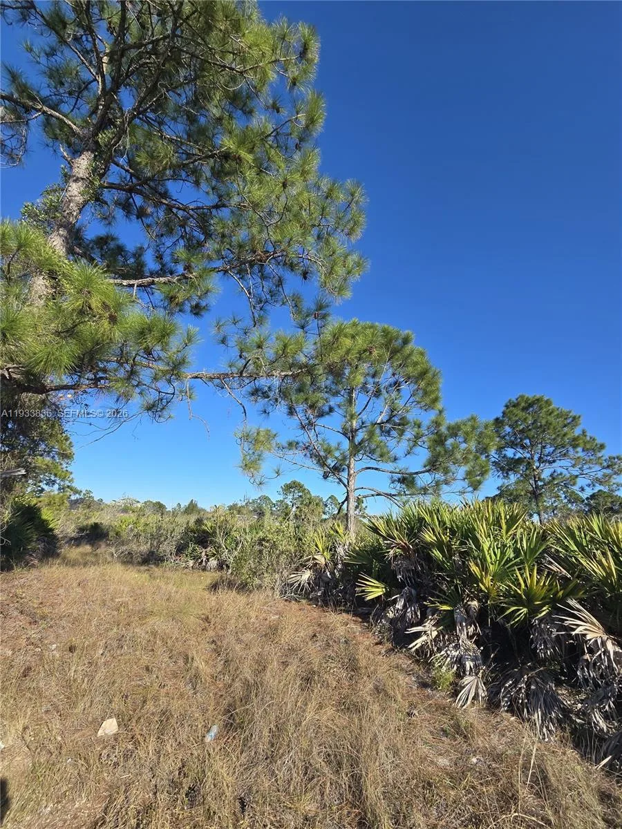 1306 Cortez Ave, Lehigh Acres, FL 33972