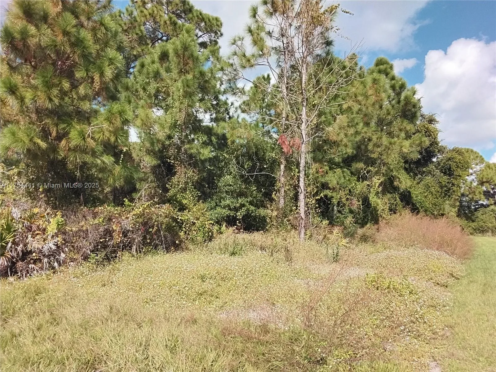 3504 W 74th ST, Lehigh Acres, FL 33971