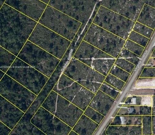 719 Dolphin Ave, Lake Placid, FL 33852