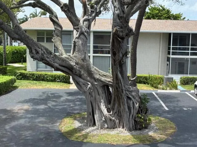 620 Horizon W # 202, Boynton Beach, FL 33435