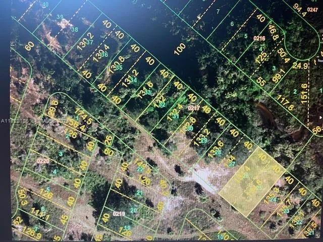 Listing