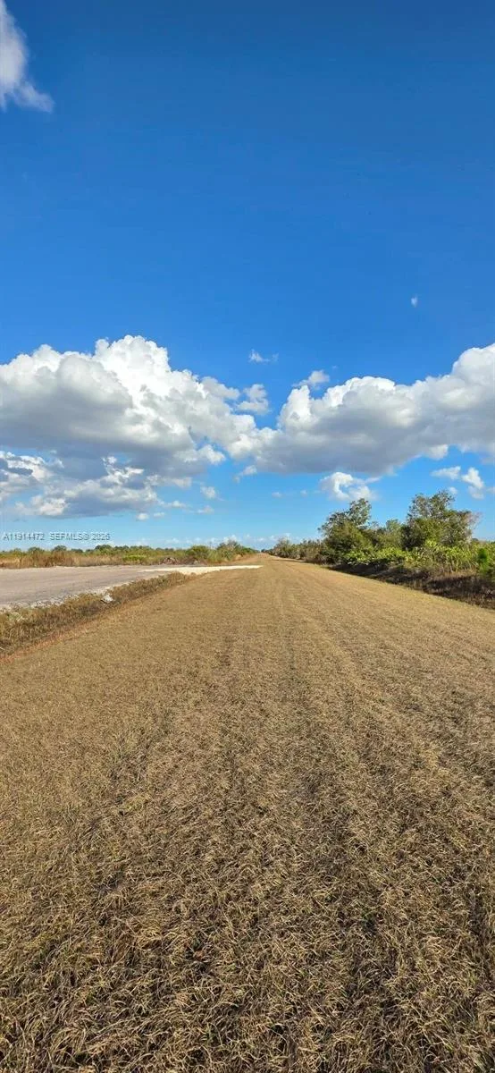 16525 NW 260 st, Okeechobee, FL 34972 photo 10
