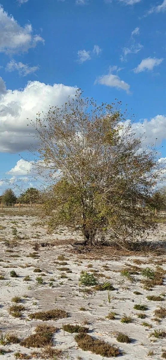 16525 NW 260 st, Okeechobee, FL 34972 photo 3