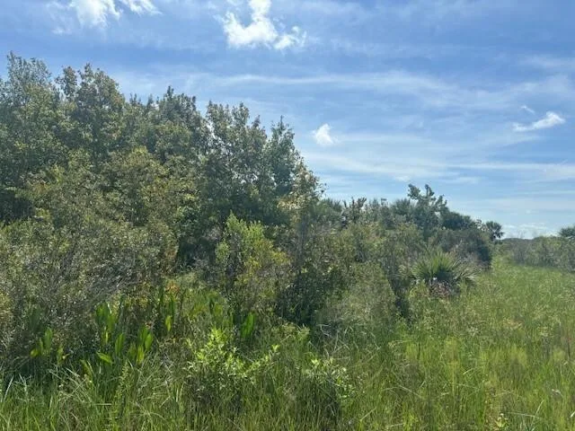 0 NW 310th Street, Okeechobee, FL 34972
