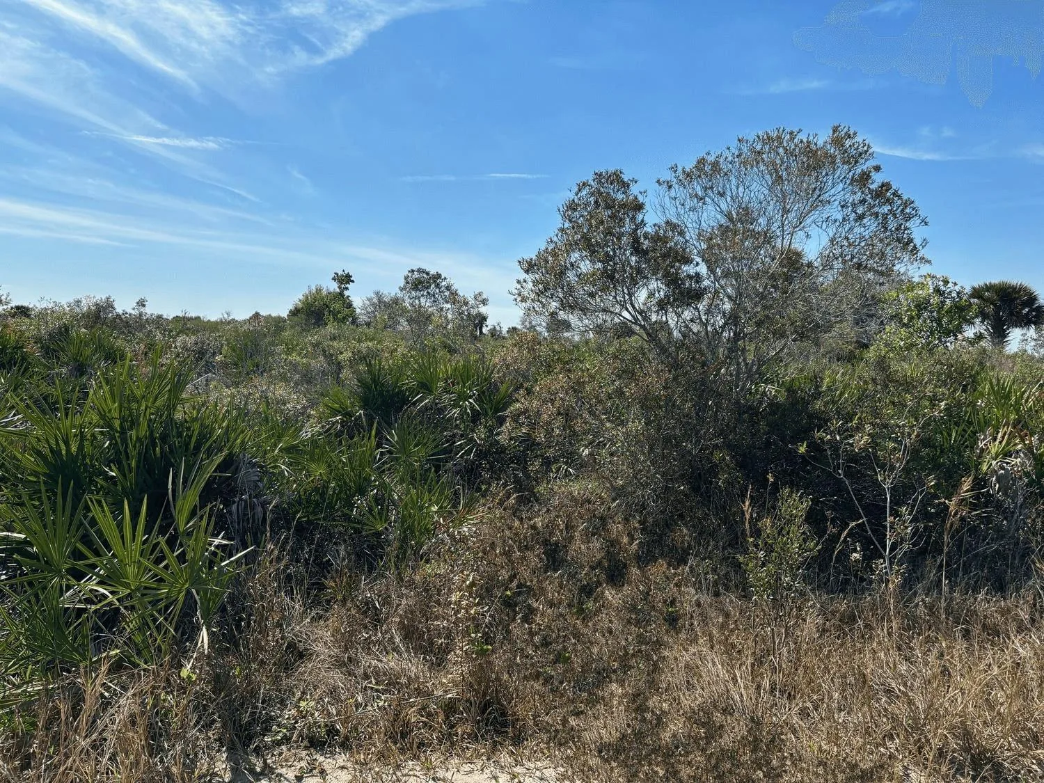 0 NW 308th Street, Okeechobee, FL 34972