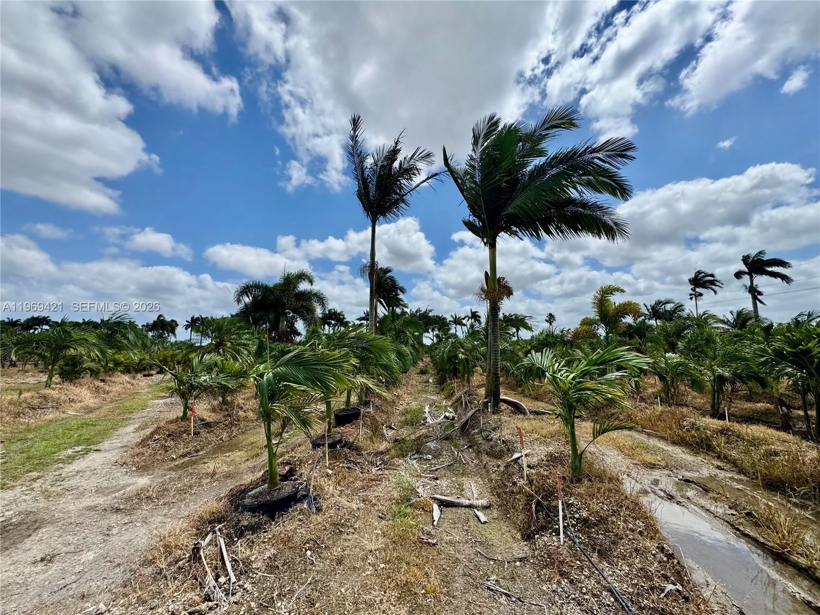 328XX SW 202 Ave, Homestead, FL 33034 — zdjęcie 3