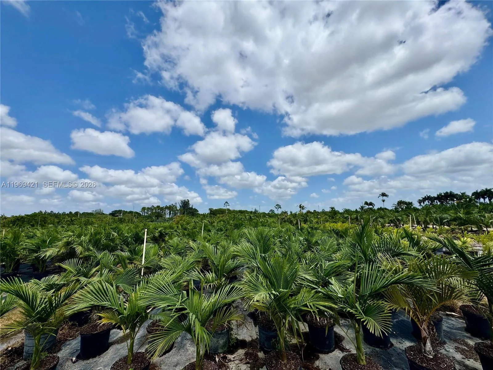 328XX SW 202 Ave, Homestead, FL 33034 — zdjęcie 4
