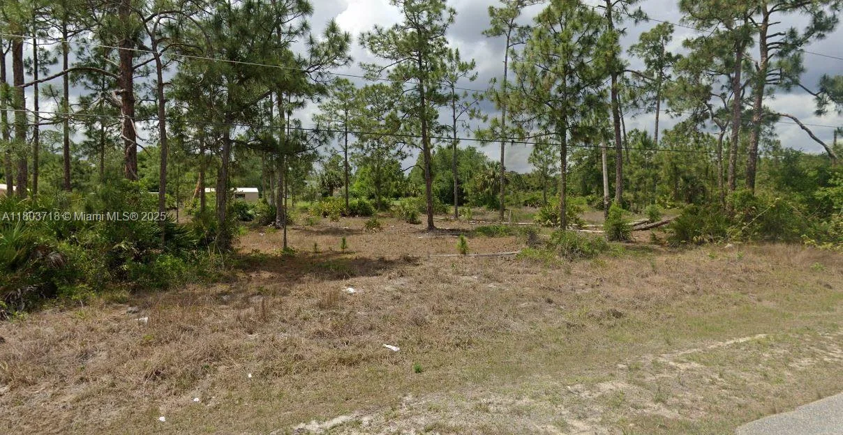 1217 EIGHTH AVE, Lehigh Acres, FL 33972 photo 2