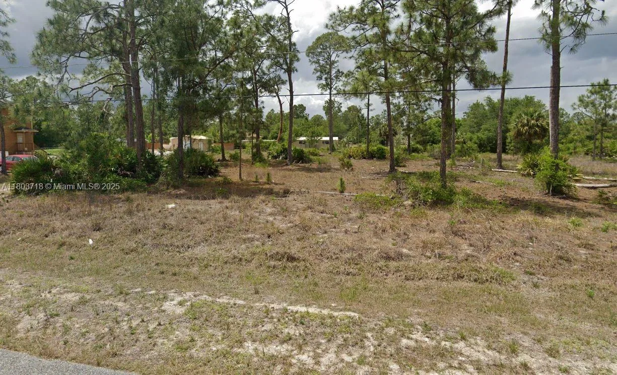 1217 EIGHTH AVE, Lehigh Acres, FL 33972 photo 3