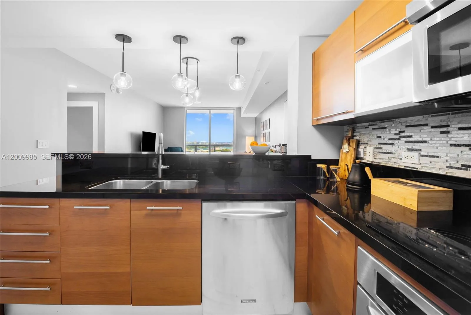 253 NE 2nd St # 2503, Miami, FL 33132 photo 9