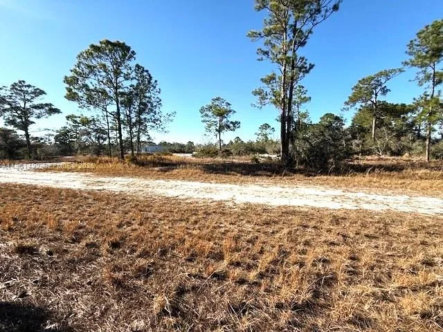 547 Branchwood Ave, Lake Placid, FL 33852