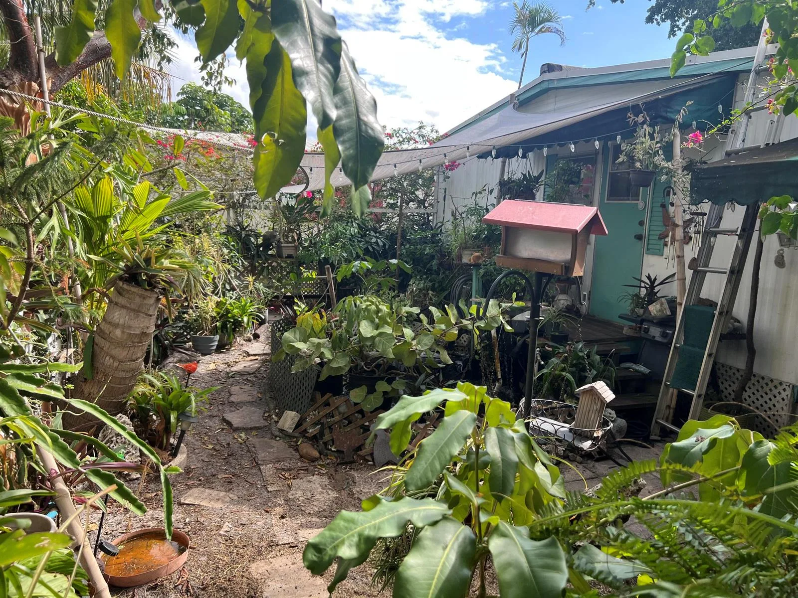 313 NW 48th Court, Pompano Beach, FL 33064 — zdjęcie 3