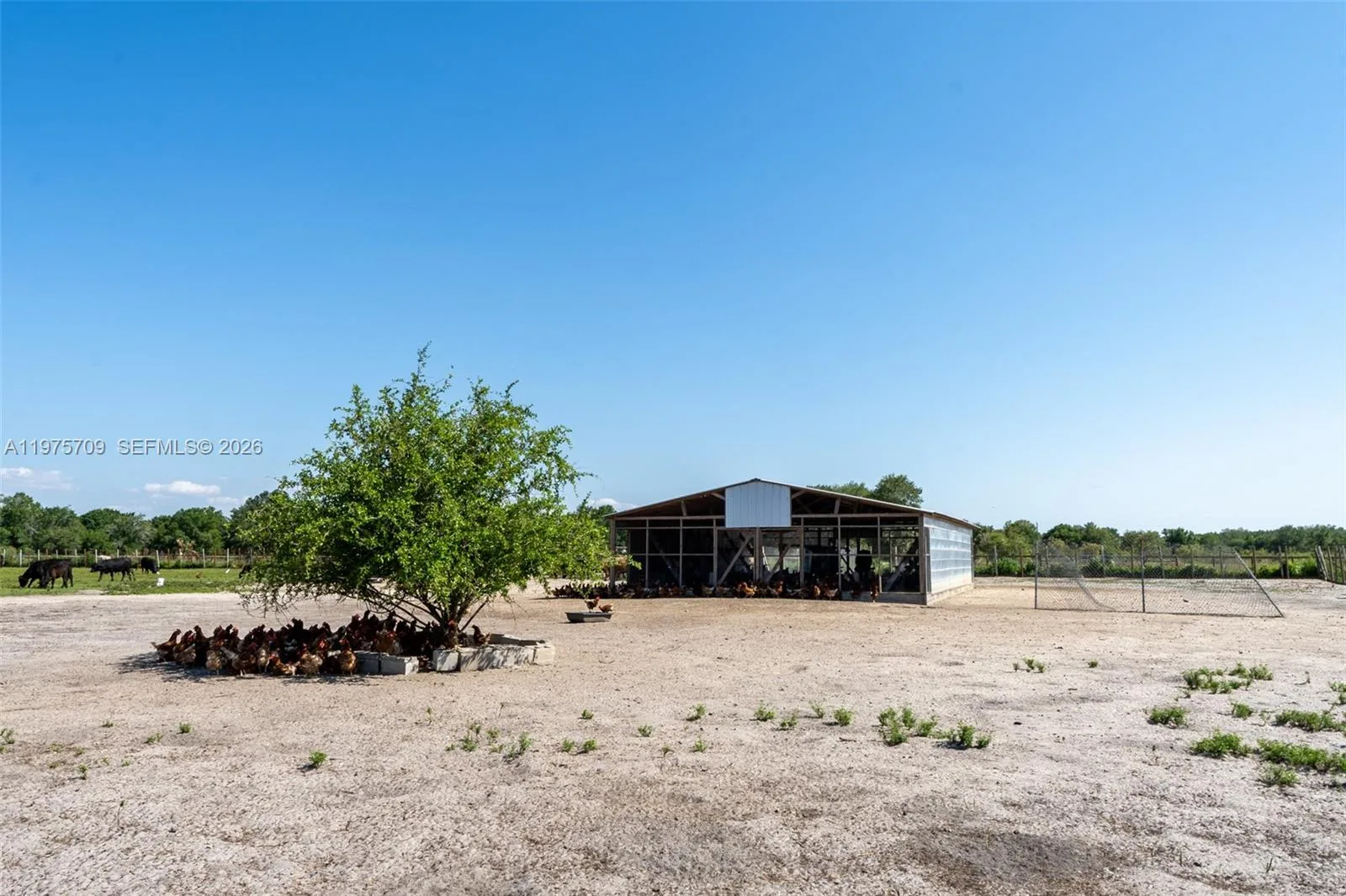 21810 NW 270TH ST, Okeechobee, FL 34972 photo 8