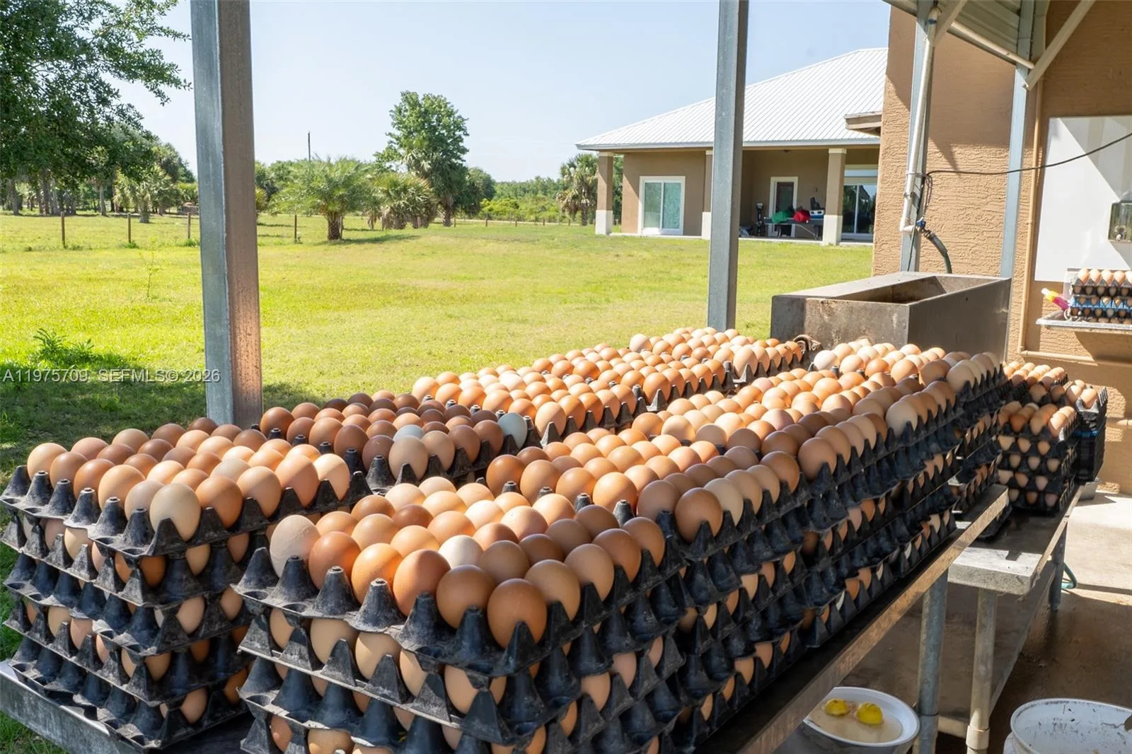 21810 NW 270TH ST, Okeechobee, FL 34972 photo 9