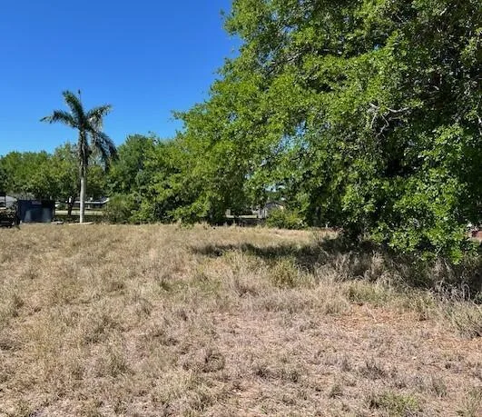 113 Autumn Terrace, Lake Placid, FL 33852 photo 3