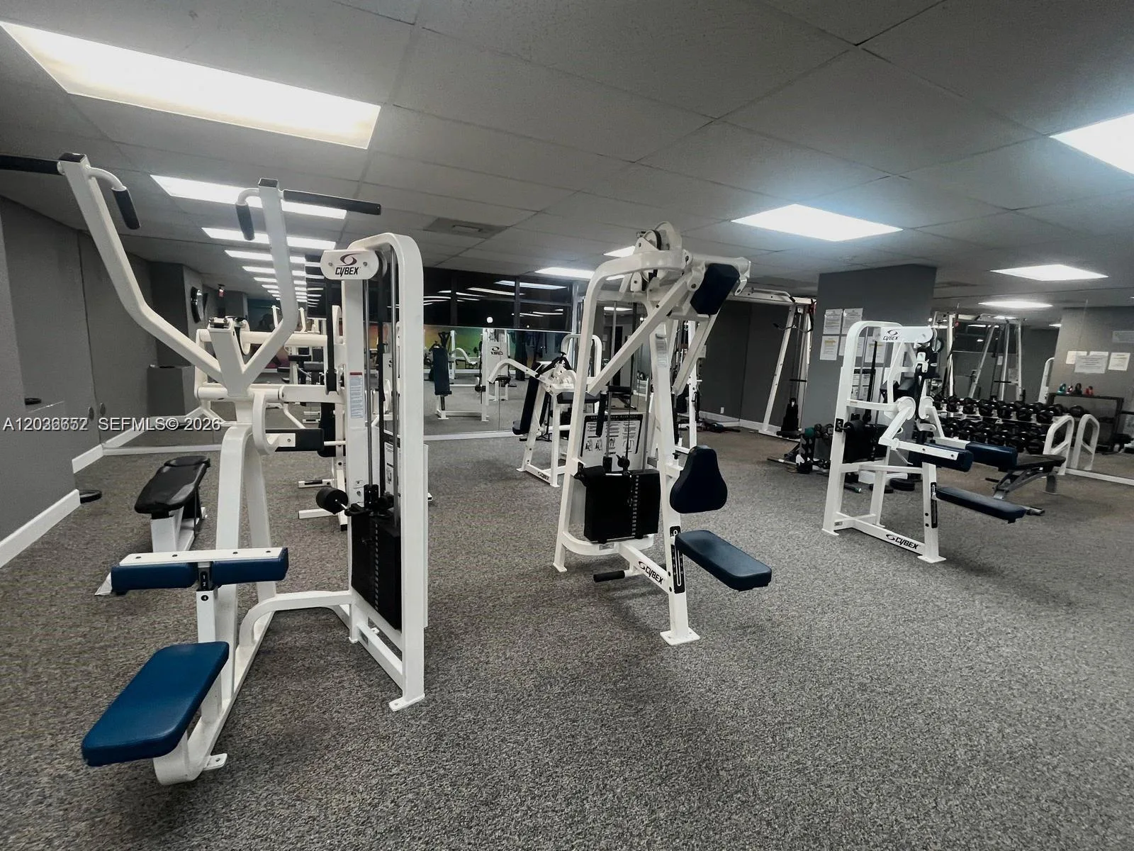 200 Leslie Dr # 324, Hallandale Beach, FL 33009 photo 12