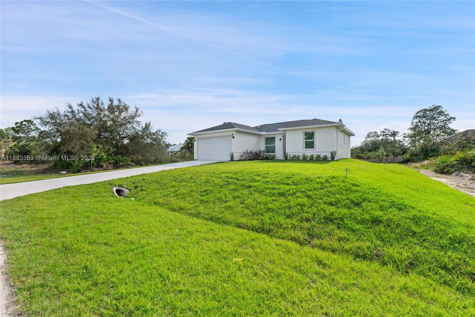 412 WICKHAM AVE, Lehigh Acres, FL 33974 photo 3