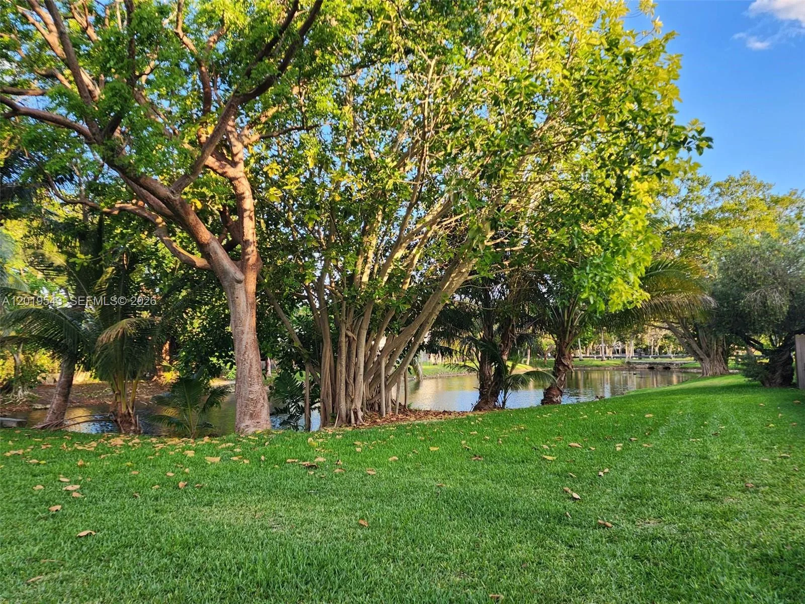 6931 SW 111th Ct, Miami, FL 33173 photo 3