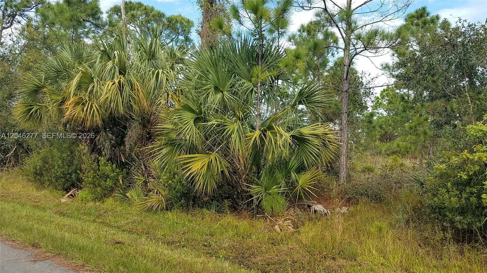 26318 Hapsburg Rd, Punta Gorda, FL 33955 photo 6