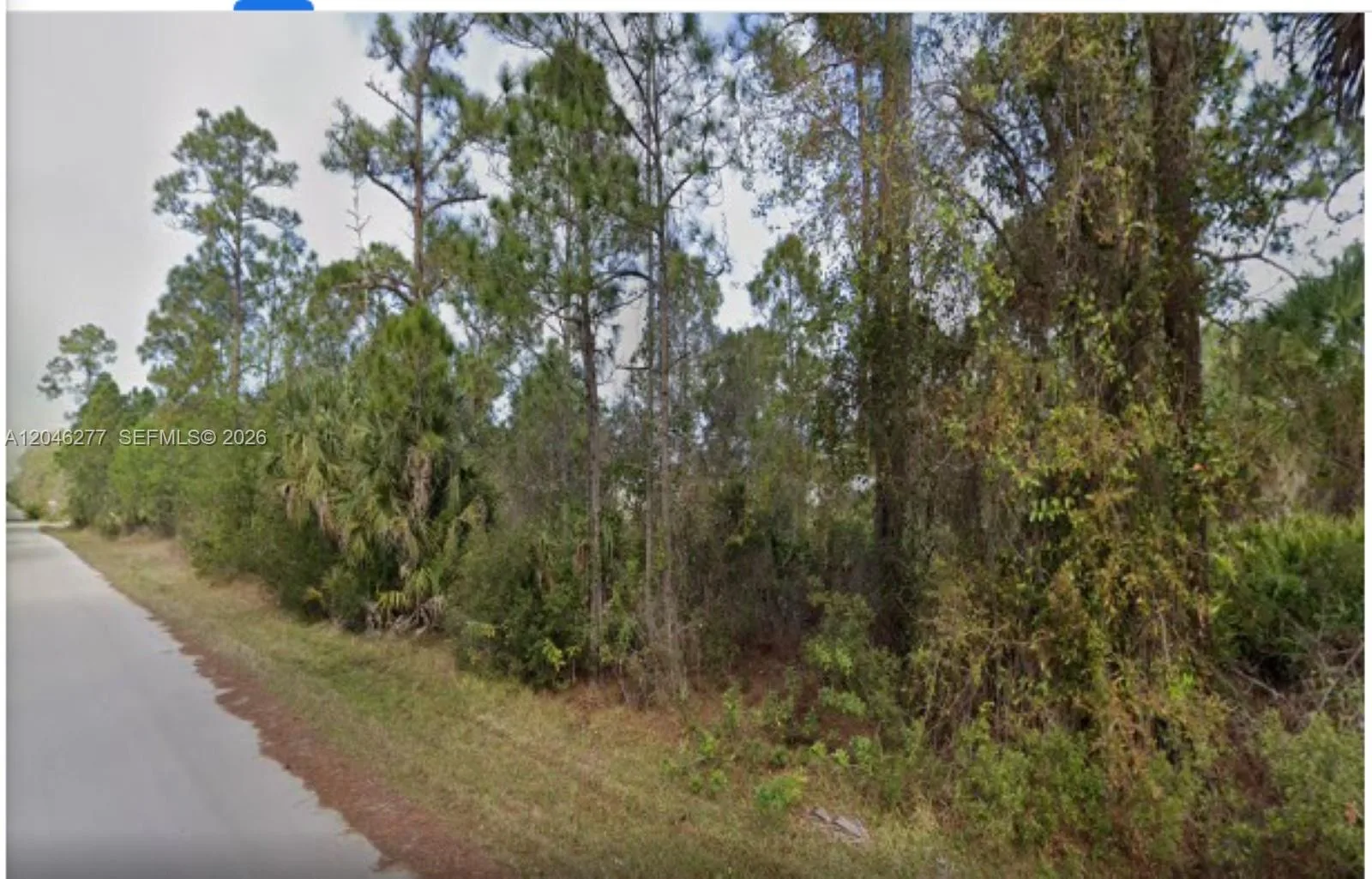 26318 Hapsburg Rd, Punta Gorda, FL 33955 photo 8