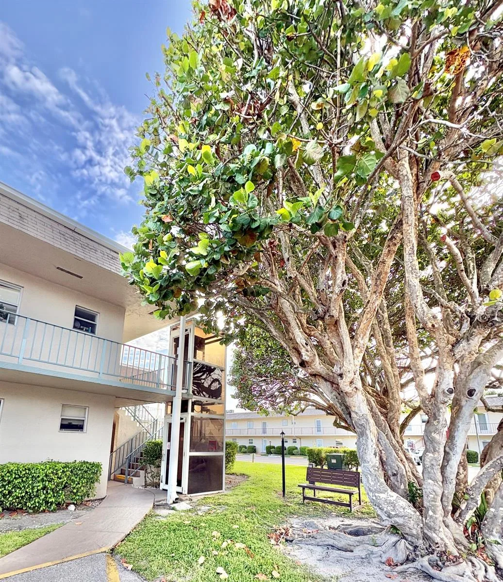 209 OXFORD 200, West Palm Beach, FL 33417 photo 13