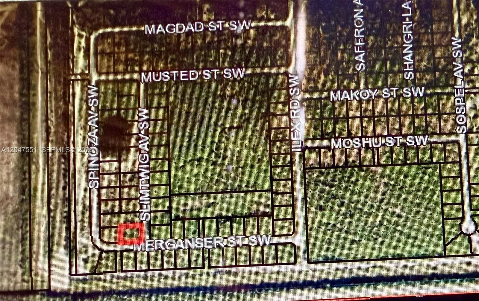 Merganser St SW & Slimtwig Ave, Palm Bay, FL 32908