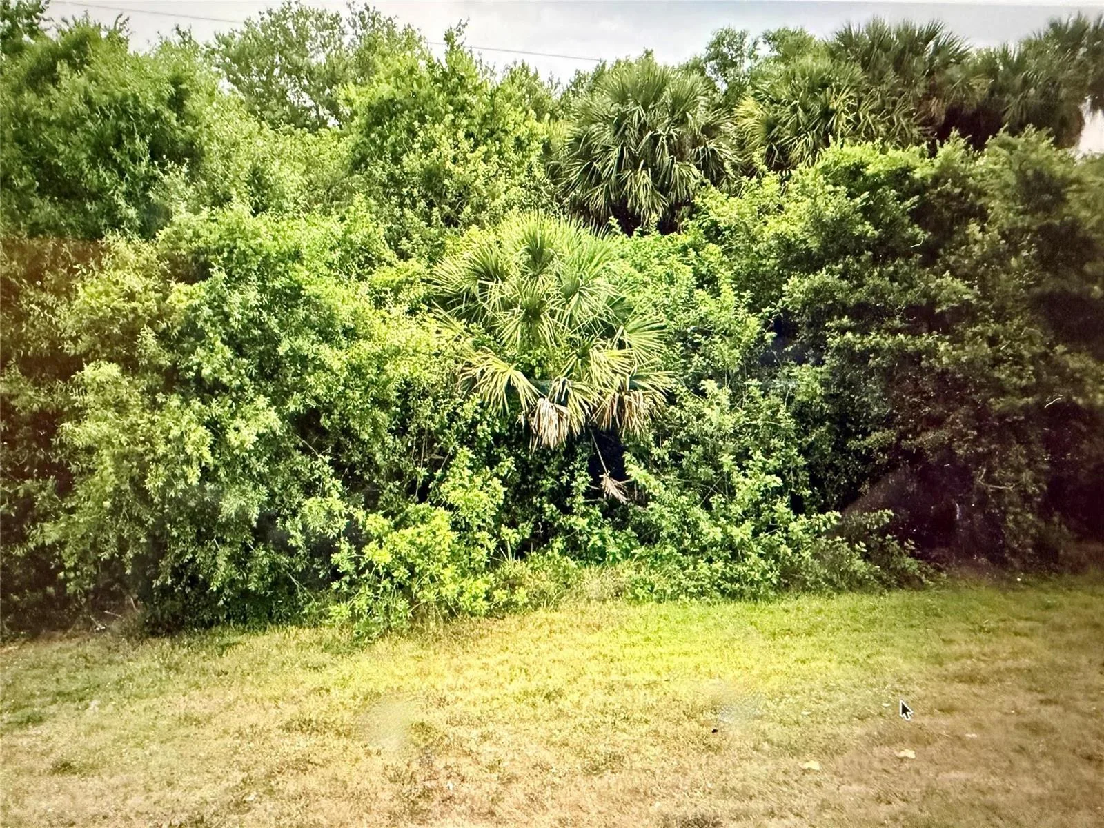 3712 N Hwy 98, Okeechobee, FL 34972 — zdjęcie 2